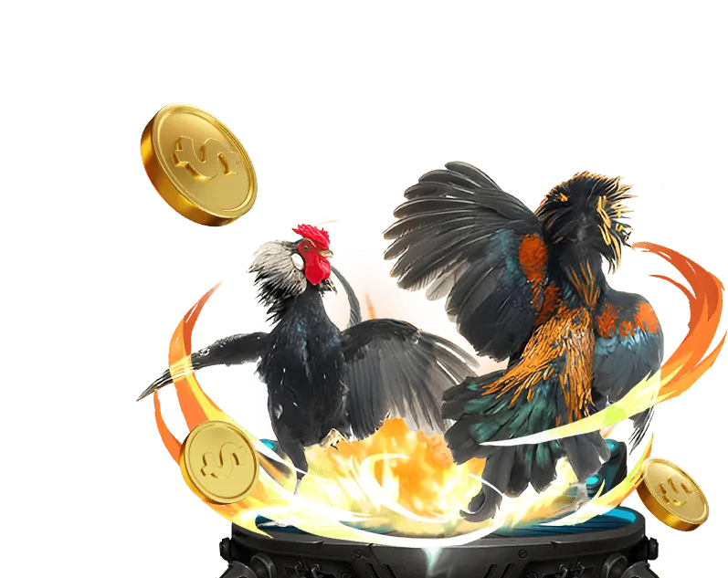 Giao diện đặt cược đá gà 33win02